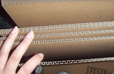 ���㼈�������Y��