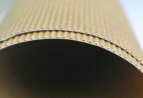 ����Ͳ�����㼈��