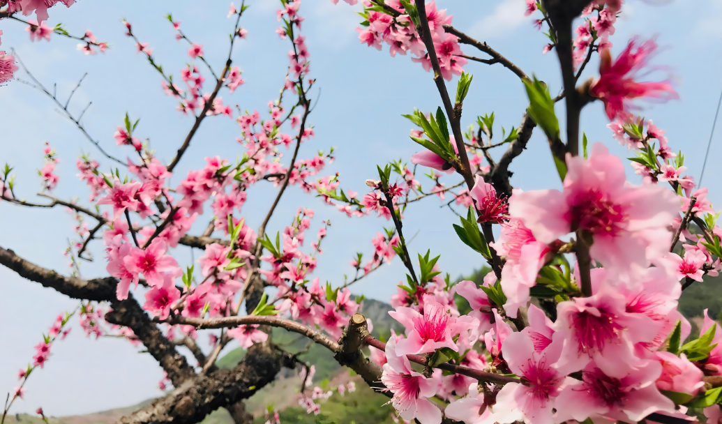 ���İ��b | �gӭ�V�����ԃ��